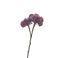 Sedum flower lilac 46cm