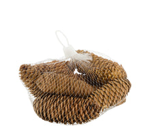 Pinecone 150gr nature 12x12x5cm Natural
