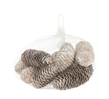 Pinecone 150gr nature 12x12x5cm Snowy White