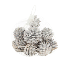 Pinecone 200gr nature 13x13x9cm Snowy White