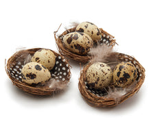 Vogelnest 'kwartel' naturel 6pcs 21x15x3,5cm