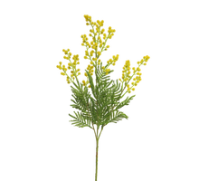 Mimosa Eloise yellow 68cm