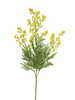 Mimosa Eloise yellow 68cm