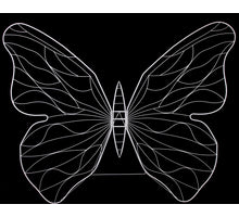 Butterfly 'Atlas' metal white 231x162cm