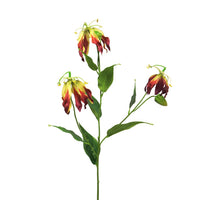 Gloriosa Michelle burgundy 84cm