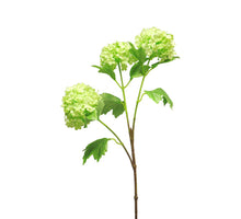 Snowball spray x3 green 83cm