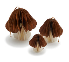 Paddenstoelen 'Paolo' aarde set/3