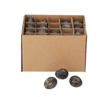 Kwartel eieren zwart 3 cm 60 stuks
