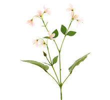 Lonicera spray lt pink 75cm