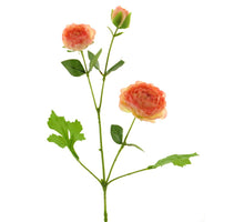 Wild paeony ray peach 70cm