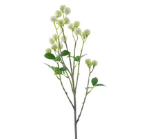 Wild berry spray cream 67cm