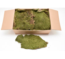 Plaatmos groen doos ca. 2KG