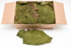 Green moss plate, box approx. 2kg