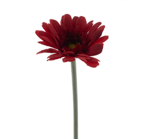 Gerbera spray Minako red 47cm