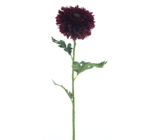 Wild gerbera spray burgundy 67cm