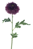 Wild gerbera spray purple 67cm