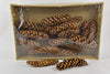 Pine cone 'Strobus' lacquered approx. 25cm 25pcs