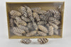 Pine cone 'Strobus' frozen white approx. 15cm 50pcs