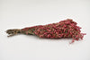 Pepperberries 200g natural