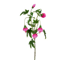 Abutilon l80cm roze