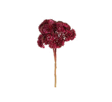Sedum pick l20cm burgundy
