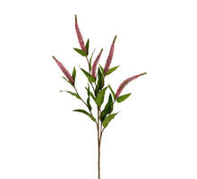 Veronica l70cm roze