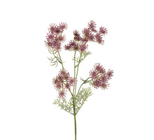 Wildwortel l80cm lila