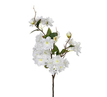 Bloesem l75cm wit