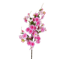 Bloesem l89cm dnkr roze