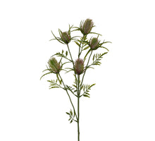 Distel l73cm roze