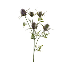 Distel l73cm paars