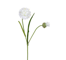 Korenbloem l66cm wit