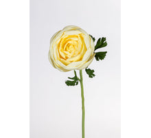 Ranonkel l62cm licht geel