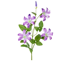 Clematis l90cm lila