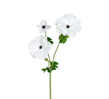 Ranonkel Butterfly l60cm wit