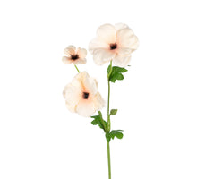 Ranonkel Butterfly l60cm beige