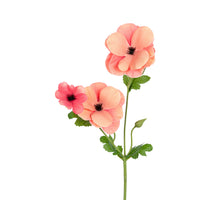 Ranonkel Butterfly l60cm koraal