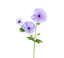 Ranonkel Butterfly l60cm lila