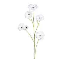 Ranonkel Butterfly l105cm wit