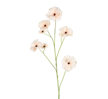 Ranonkel Butterfly l105cm beige