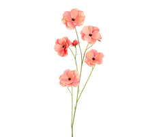 Ranonkel Butterfly l105cm koraal