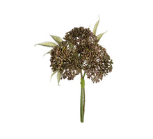 Allium bundel h27cm bruin