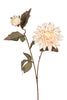 Dahlia l65cm creme