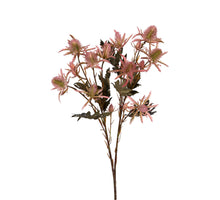 Distel l67cm roze