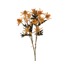 Distel l67cm orange