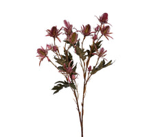 Distel l67cm burgundy