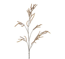 Amaranthus l105cm bruin
