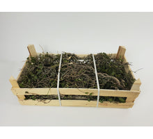 PINAR 60x30x20 WDN BOX NATURAL