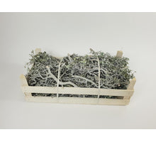 PINAR 60x30x20 WDN BOX WHITE WASHED