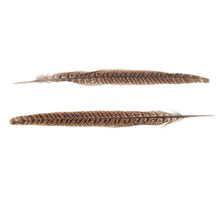 Pheasant feather 20cm 20pc Natural